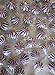 Purple n White Crazy Candy Balls 1 Pound