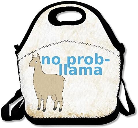 Multifictional Lunch Bag, Funny No Prob-llama Lunch Tote Bag/ Backpack With Zipper For Kids / Adults