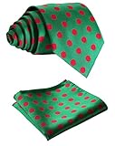SetSense Men's Polka Dot Jacquard Woven Tie Necktie Set