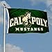 Cal Poly Mustangs San Luis Obispo University Large College Flag