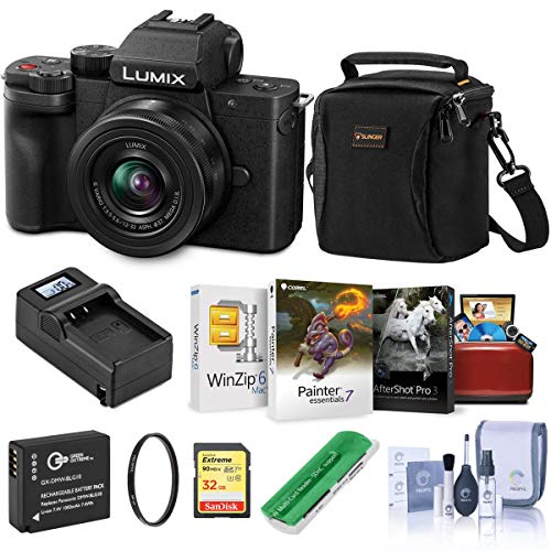 Panasonic Lumix DCG100 Mirrorless Camera Black with G Vario 1232mm f