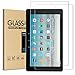 All-New Fire HD 10 Screen Protector,Tempered Glass Screen Protector Film for All-New  HD 10 Tablet (7th 2017 Release)