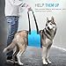Pawaboo Dog Support & Rehabilitation Harness, Dog Lift Canines Aid Assist Sling for Disabled, Injured, Elderly Pets Dogs, Help with Mobility to Stand Up, Climb Stairs and More, Large Size, Blue