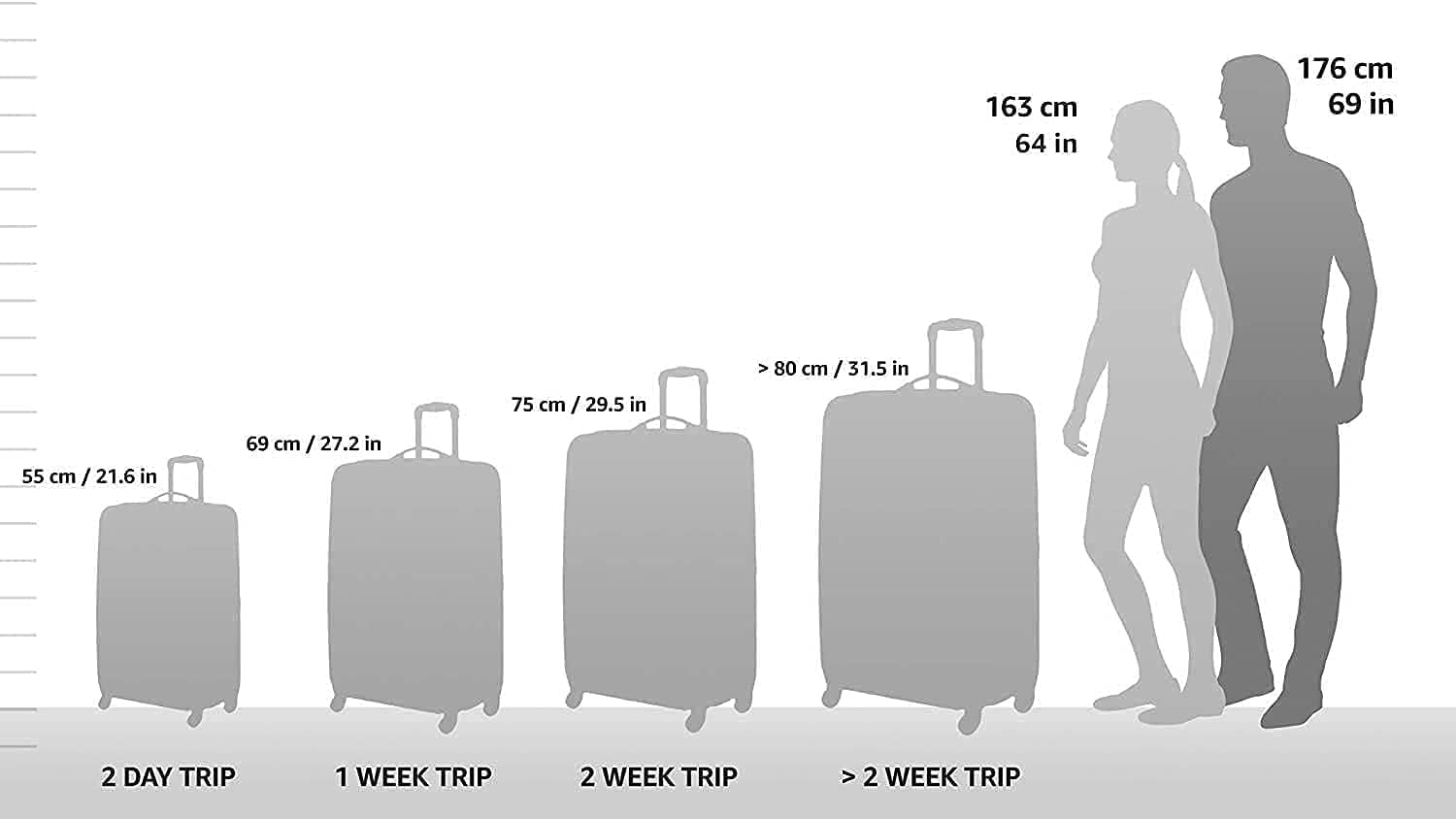 Travel Select Amsterdam Softside Expandable Rolling Luggage, Lightweight 2-Wheel Check-In Suitcase with Push-Button Handle, Gray, 25