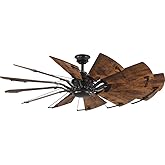 Progress Lighting P250000-129 Springer Collection DC Motor Windmill Farmhouse, 60-Inch, 12-Blade Ceiling Fan, Architectural B