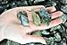 Fantasia Materials: 3 lb Labradorite Mine Run Rough - (Select 1 to 18 lbs) - Raw Natural Crystals for Cabbing, Cutting, Lapidary, Tumbling, Polishing, Wire Wrapping, Wicca and Reiki Crystal Healing