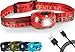 Flagship-X Phoenix Rechargeable Waterproof LED Camping Headlamp Flashlight For Running - Red