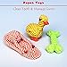 Jomilly 12 Pcs Puppy Teething Plush Toys Dog Toys Pack Ball Rope Durable Shrilling Chicken Chew Toy Multi Pattern for Small Medium Dogs