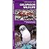 Galapagos Wildlife: A Folding Pocket Guide to Familiar Animals (Pocket Naturalist Guide Series)