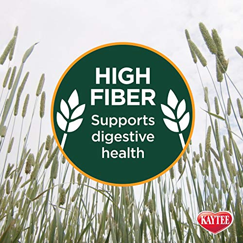 Kaytee Wafer Cut All Natural Timothy Hay for Pet Guinea Pigs, Rabbits