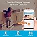 ANNKE Wifi IP Camera, Nova Orion 1080P HD Pan/Tilt Home Security Camera, Work with Alexa Echo Show/ Fire TV, Google Assistant and IFTTT, Cloud Service Available, White