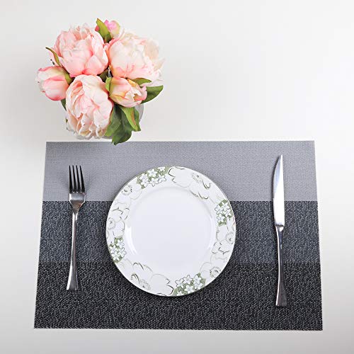 PREMIUM CARE Set of 4 Placemats for Table Heat-Resistant Skid-Proof Table Mats Dining Table Woven Stain Resistant Easy to Clean