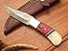 DKC Knives (15 5/18) DKC-720 RED BIRD Damascus Steel Bowie Hunting Handmade Knife Fixed Blade 8.9 oz 9