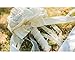 Pavian Advanced Customization Romantic Bride Wedding Holding Bouquet Roses (Ivory A)