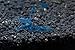 SoShrimp 5 Blue Velvet Shrimp - Neocaridina davidi Live Freshwater Aquarium Shrimp - 1/4 to 1 inch Long