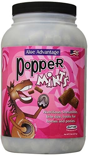 Aloe Advantage Poppermints Horse Treats 5 lb (DO NOT SELL IN NM) by Rooster Booster