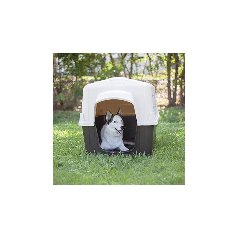 electric dog fence petbarn