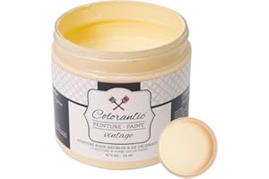 Colorantic | ORANGESICLE Chalk Paint for Furniture Painting DIY- Multi-Surface All-in-One Craft Paint | ORANGE Decorative Painting for Wood (8 oz)