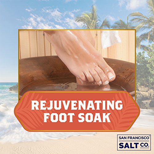 Bath Red Alaea Hawaiian Sea Salt 2 lb. Bag Coarse Grain by San Francisco Salt Company Pricepulse