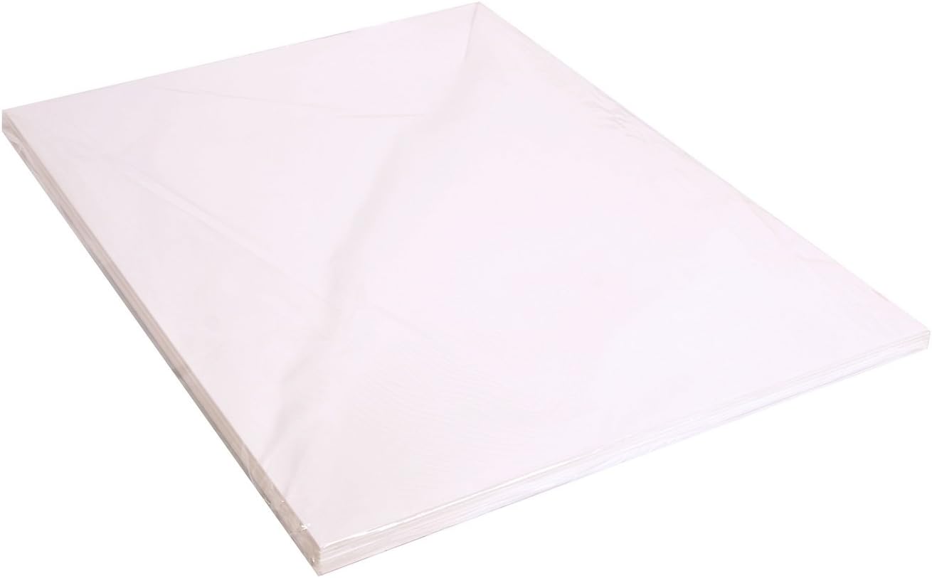 Clairefontaine Foam,Backed Cardboard, 10 mm Thick, 70 x 100 cm, 4 Sheets, White