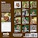 Squirrels 2019 16 Month Wall Calendar 12 x 12 Inches