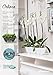 Santino, Self Watering Planter CALIPSO Oval Shape L 9.4 Inch x H 5.1 Inch Shade/Shade, Indoor Flower Pot for All House Plants, Flowers, Orchids
