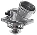 MAHLE TM29100D Map-Controlled Thermostat