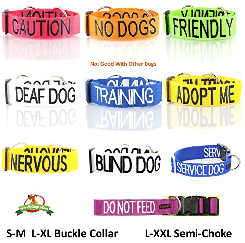 dog collar warning colours