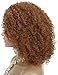 Kalyss Ombre brown Short Afro Kinky Curly Wigs for Black Women Side Curved Part Natural Looking Big,Bouncy and Super Soft Premium Synthetic Afro Curls Wigs for Women