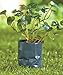 Set of 100 Gardeners' Grow Bags