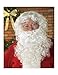 Rubie's Costume Co Value Santa Beard And Wig Set