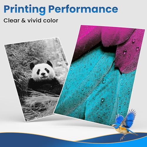 Jhaan Ink Cartridges Compatible with Epson XP 2200 Ink Cartridges for Epson Expression Home XP-2200 XP-2205 XP-3200 XP-4200 Workforce WF 2910DW 2930DWF (Pack of 10)