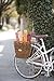 Nantucket Bicycle Basket Co. Cisco Pannier Basket with Hooks, Honey