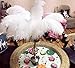 STTQYB Ostrich Feathers, 20Pcs Feathers for Centerpieces, Natural Ostrich Feathers for Wedding Centerpieces Home Decoration (White, 10-12 Inches)