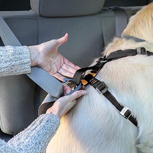 Kurgo TruFit Enhanced Strength Dog Harness, Crash Tested Car Safety