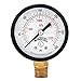 Winters PEM Series Steel Dual Scale Economical All Purpose Pressure Gauge with Brass Internals, 0-300 psi/kpa, 2