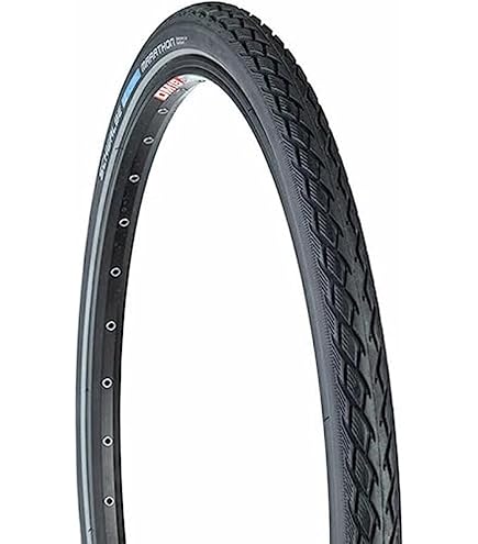 Amazon.com : SCHWALBE Big Apple RaceGuard RLX Wire Bead Tire