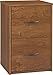 Ameriwood Home Core 2 Drawer File Cabinet, Bank Adler