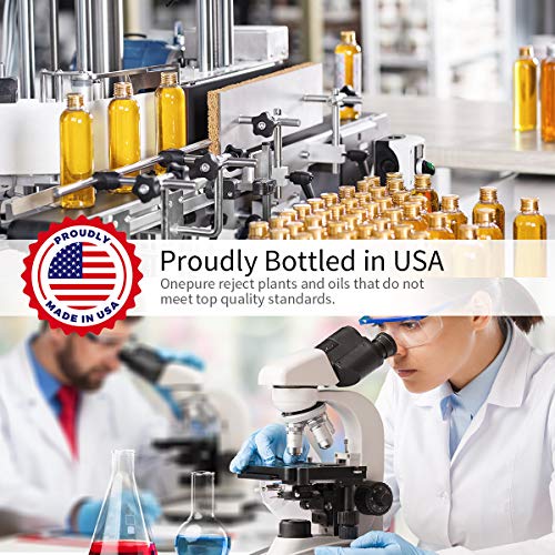 6 InnoGear+Upgraded+Aromatherapy+Essential+Humidifier