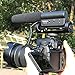 TAKSTAR SGC-598 Interview Photography Microphone Nikon/Canon Camcorder Camera/DV (SGC598 w Windsheild) (Medium)