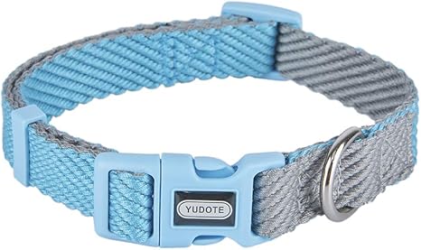 Lightweight puppy collar Clearance