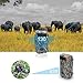 DIGITNOW Trail Camera 16MP HD Waterproof Game Camera, Wildlife Hunting Scouting Surveillance Camera with 40Pcs IR LED Infrared Night Vision Up to 65FT /20M (2Pack)