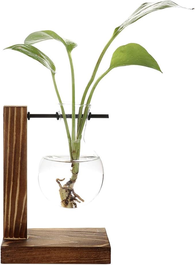 Takefuns Hydroponic Vase Vintage Desktop Plant Terrarium