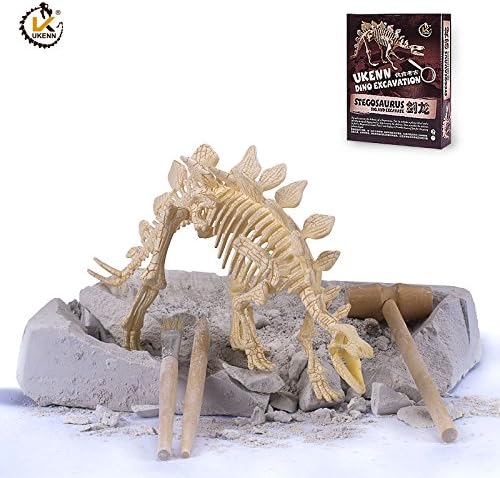 Dinosaur Excavation Kit - 6 Type Dinosaur Dig Kit Toy (Stegosaurus)