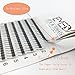 3Trays 3D W Individual Volume Cluster Eyelash Extension Premade Eyelash Fans Individual Volume Lashes 0.07 C Curl 8-14mix/12mm/14mm