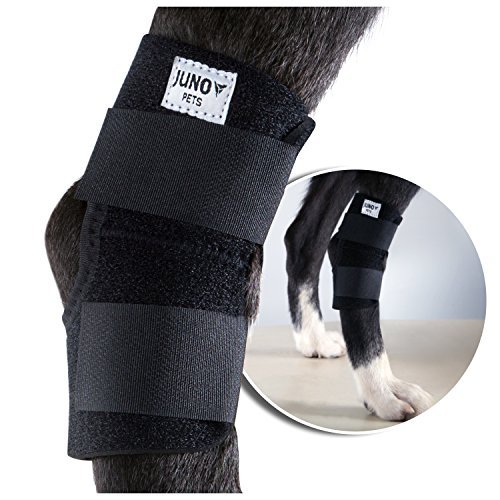 Top 10 Best Horse Leg Wraps For Arthritis Best of 2018 Reviews No
