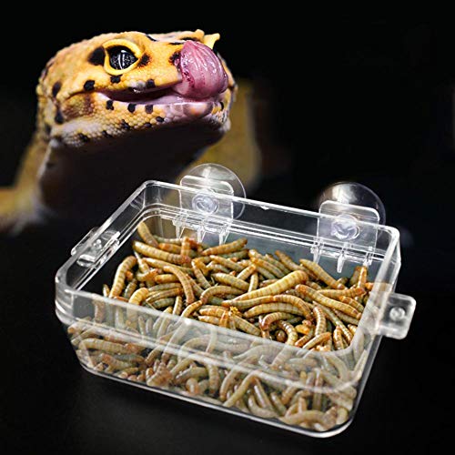 Nitrip Amphibians Reptiles Anti-Escape Feeder Worm Feeding Basin Tortoise Lizard Crawler Food Bowl