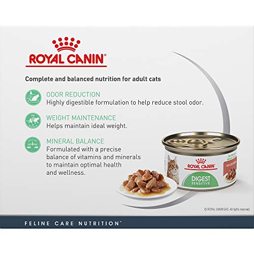 Royal Canin Digest Sensitive Thin Slices in Gravy Wet Cat Food, 3 oz ...