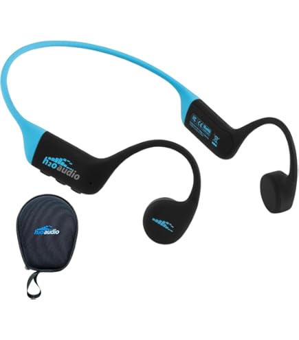 Amazon.com: Sony Walkman 4GB Headphone-Integrated NW-WS413 (Black