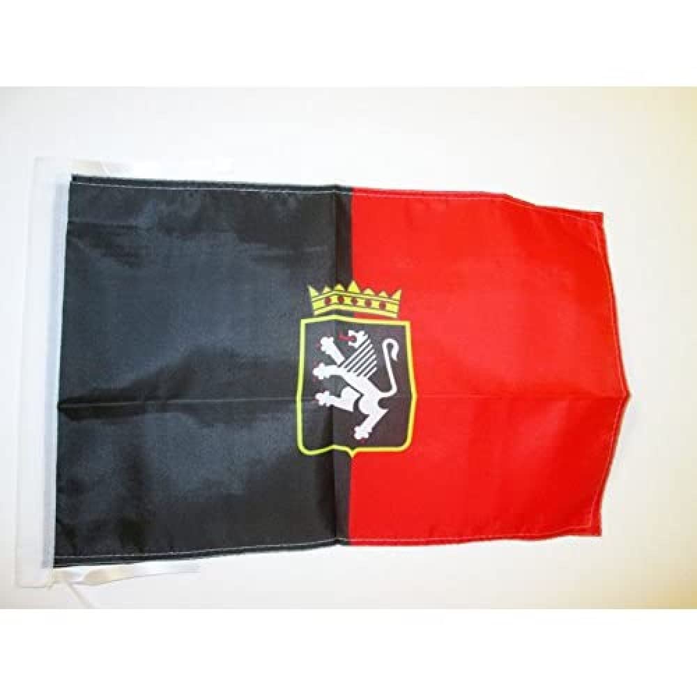 AZ FLAG - Aosta Valley Coat of arms Flag - 18'' x 12'' - 100% Polyester Italy - Italian region of Valle d'Aosta Small Banner with Two Cords - Fade Resistant - Vivid Colors - 18x12 in - 45x30 Cm — image 1
